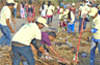 34th week - ’Swachh Mangaluru’ smartens  Kunjathbail, Marakada areas